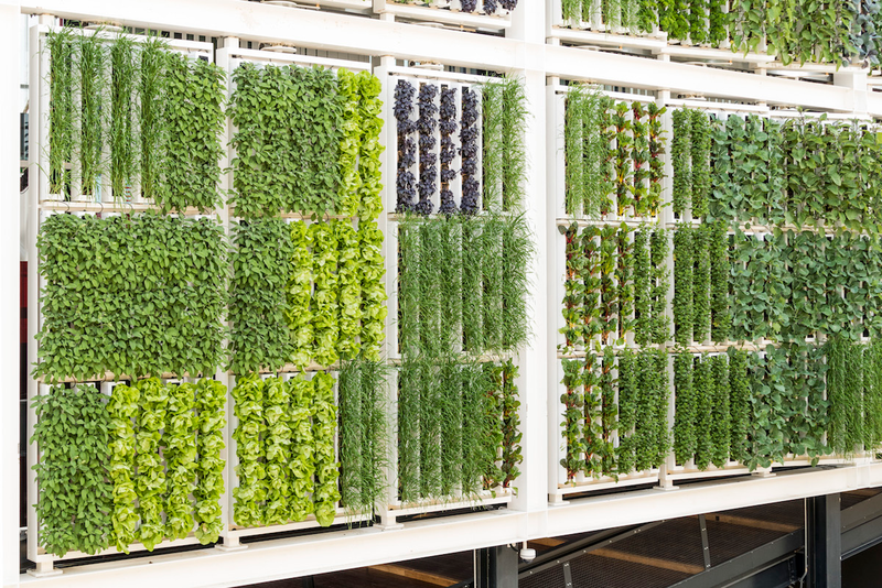 Illustration for article titled Behold the Gigantic Vertical Farm That the US Built For the World's Fair